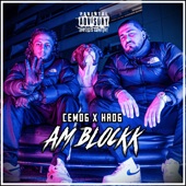 Am Blockk artwork