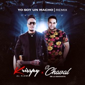 Yo Soy un Macho (Remix) artwork