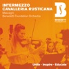 Benedetti Foundation Orchestra - Cavalleria rusticana: Intermezzo (Arr. Holt)