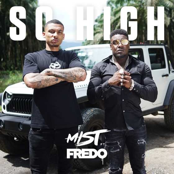 Cover artwork for So High (feat. Fredo)