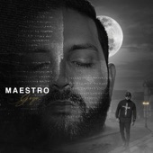 Maestro artwork