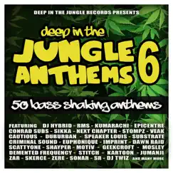 Deep In the Jungle Anthems 6 by Various Artists album reviews, ratings, credits