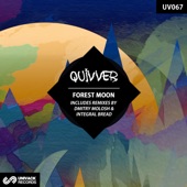 Forest Moon (Dmitry Molosh Remix) artwork