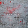 Born This Way (feat. YZERR, Vingo & Bark) - Single