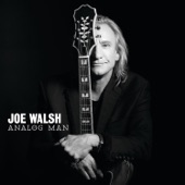 Joe Walsh - Wrecking Ball