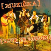 MUZIČKA (Live in Lublin) artwork