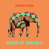 Sound of Animals artwork