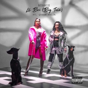 Lil Boi (Big Talk) [feat. Queen Naija] - Single