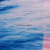 Catfood Salmons - フォトグラフ