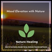 Mood Elevation With Nature - Music For Theta Healing, Massage, Therapy, Meditation, Relaxation and Peaceful artwork