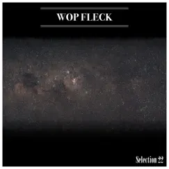 Wop Fleck Selection 22 by Mauro Pagliarino album reviews, ratings, credits