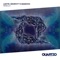 Nebula - LGHTR, Georvity & Bakovic lyrics