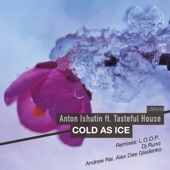Cold as Ice (feat. Tasteful House) [DJ Runo Remix] artwork