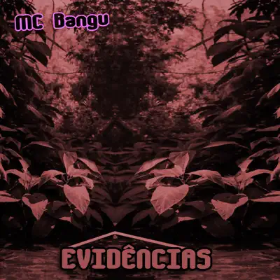 Evidências - Single - MC Bangu