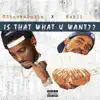 Is That What U Want (feat. Rahli) - Single album lyrics, reviews, download