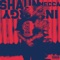 Warning (feat. Jonny Varez) - Shaun Mecca lyrics