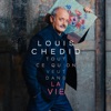 Louis Chedid - Tout ce qu'on veut dans la vie