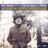 Walking in a Winter Wonderland (feat. The SWR Big Band) - Single