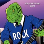 Joe Olnick Band - Hot Rocks