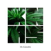 Dr. Cannabis (Dub) artwork