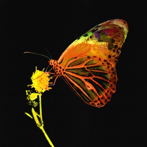 Mariposa - Single
