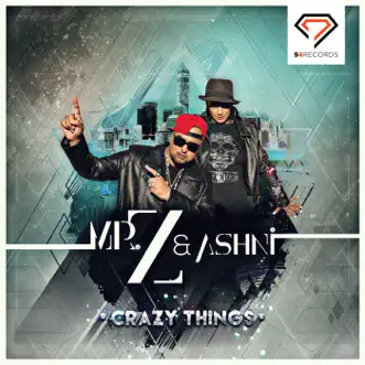 Crazy Things by Mr. Z & Ashni song reviws