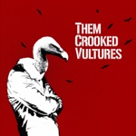 Them Crooked Vultures - Warsaw or the First Breath You Take After You Give Up