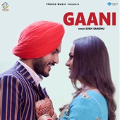 Gaani artwork