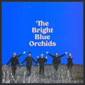 The Bright Blue Orchids artwork