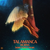 Talamanca (Robin Schulz Extended Remix) artwork