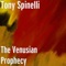 Answers to the Questions - Tony Spinelli lyrics