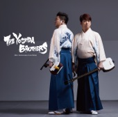 THE YOSHIDA BROTHERS 〜20th. Anniversary from Debut〜 artwork