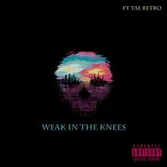 Weak in the Knees (feat. Tae Retro) - Single by Tiny Lord Stan album reviews, ratings, credits