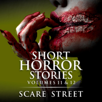 Scare Street, Ron Ripley, A. I. Nasser & David Longhorn - Short Horror Stories Volumes 11 & 12: Scary Ghosts, Monsters, Demons, and Hauntings (Unabridged) artwork