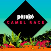 Camel Race artwork