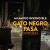 Gato Negro Pasa - Single