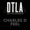 Charles D (USA) - Feel (Extended Mix)