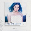 If You Had My Love - Single