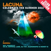 Celebrate the Summer (DJ THT Remix) artwork