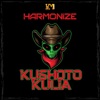 Kushoto Kulia - Single