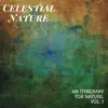 Celestial Nature - An Itinerary for Nature, Vol. 7 album lyrics, reviews, download