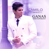 Ganas (Solo Un Pedacito) artwork