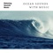 Calming Ocean Sounds Loopable - No Fade - Ocean Waves Radiance & Ocean Waves For Sleep lyrics