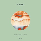 Feed (Extended Mix) artwork