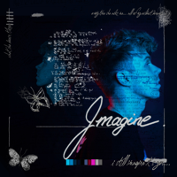 Josh Gray - Imagine artwork