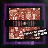 Transvicius 94 artwork