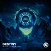 Destiny (feat. Kris Kiss) song lyrics