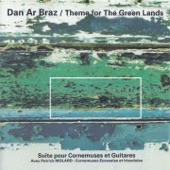 Theme for the Green Lands (feat. Patrick Molard) artwork