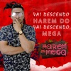 Vai Descendo - Single