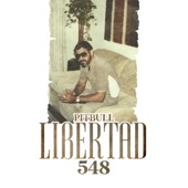 Libertad 548 artwork